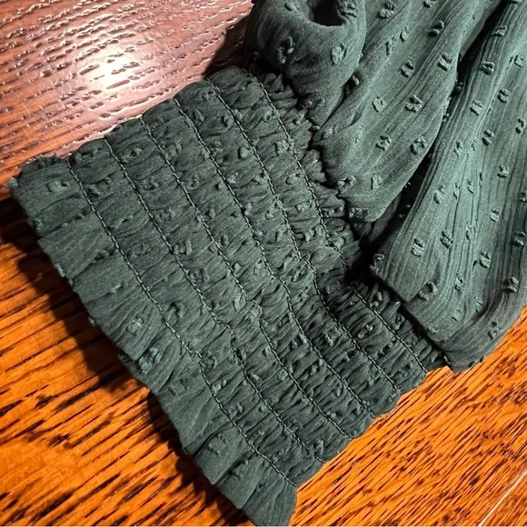 Zara TRF Collection Dress Hunter Green Women's XXL EUC Pleats Swiss Dot - Picture 5 of 6